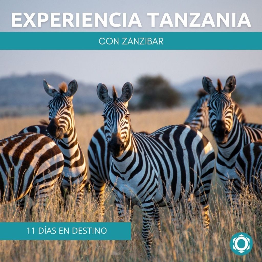 Viaje a Tanzania y Zanzibar