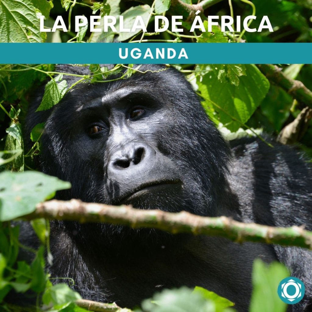 viaje a uganda