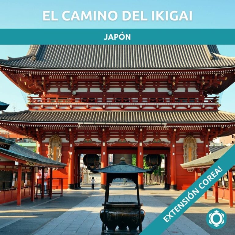 viaje a japon en español